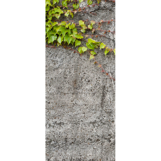 Türtapete Nr. 3068 - Vintage Beton I