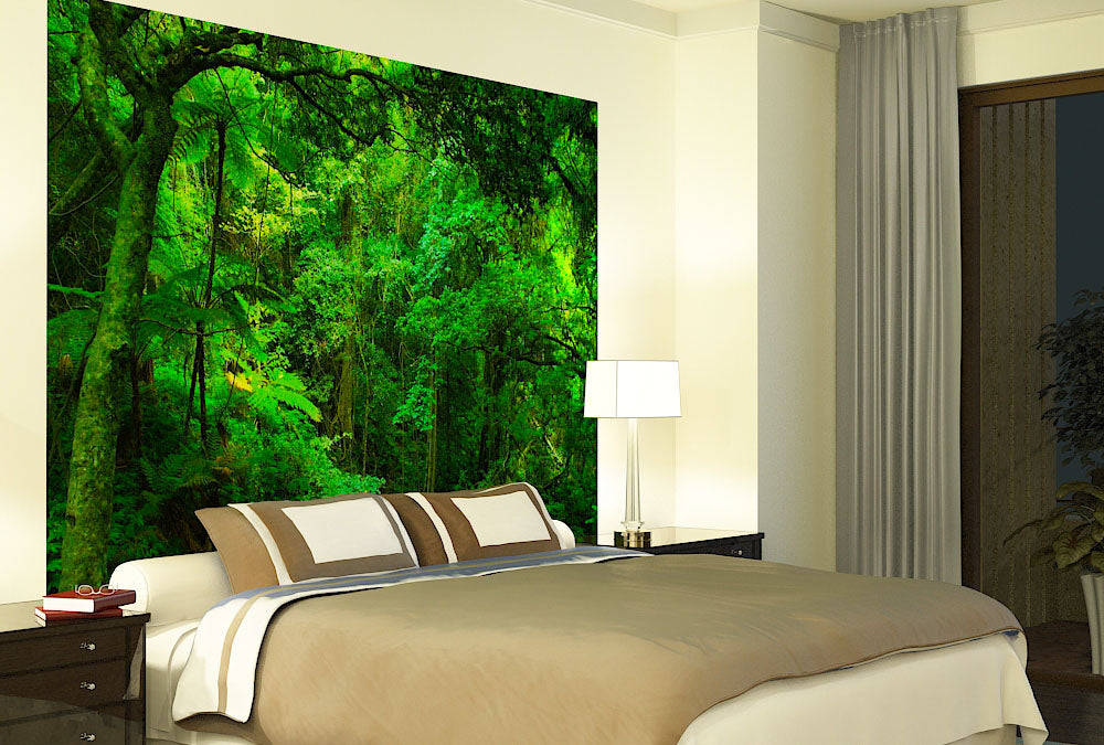 Fototapete Nr. 3196 - Tropischer Regenwald, Queensland, Australien