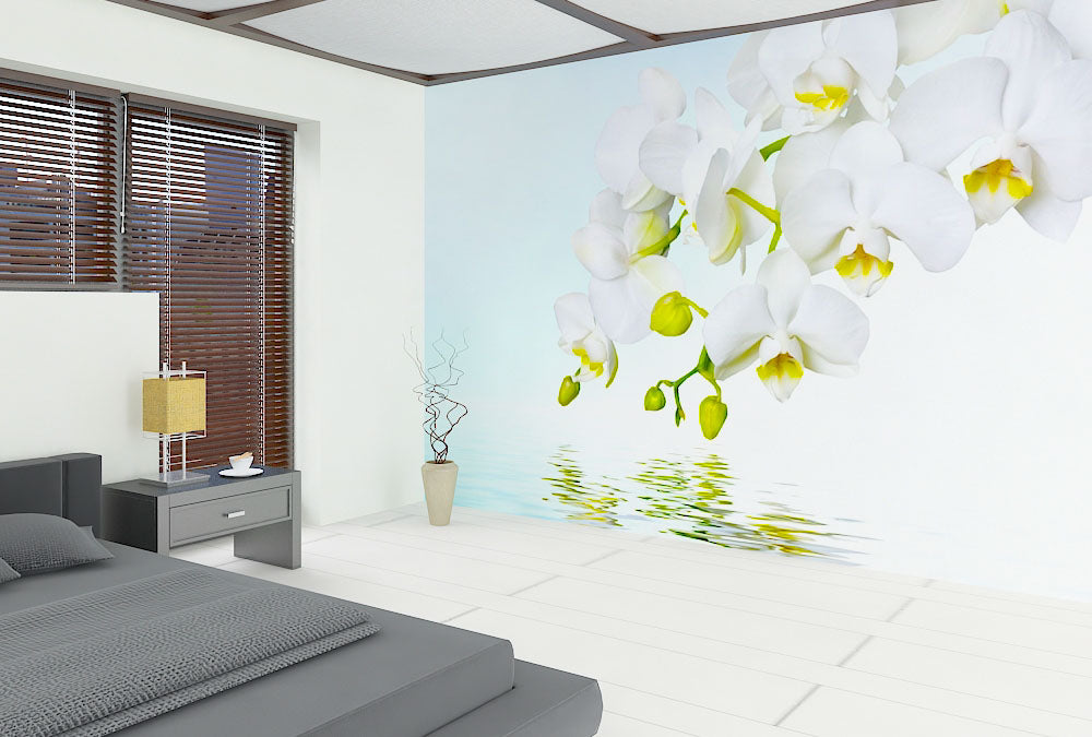 Fototapete Nr. 3304 - Orchidee & Reflex