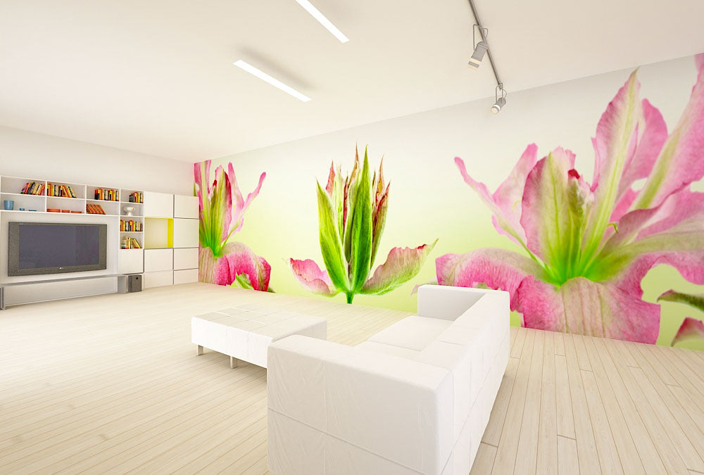 Panoramatapete Nr. 3305 - Wilde Orchideen