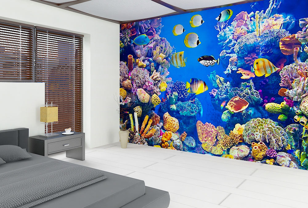 Fototapete Nr. 3407 - Aquarium