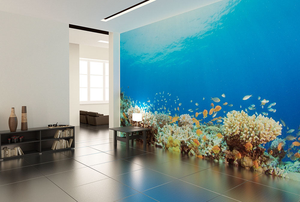 Fototapete Nr. 3411 - On the reef