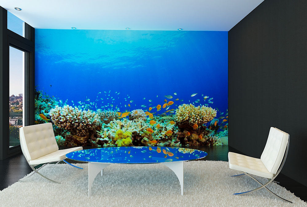 Fototapete Nr. 3411 - On the reef