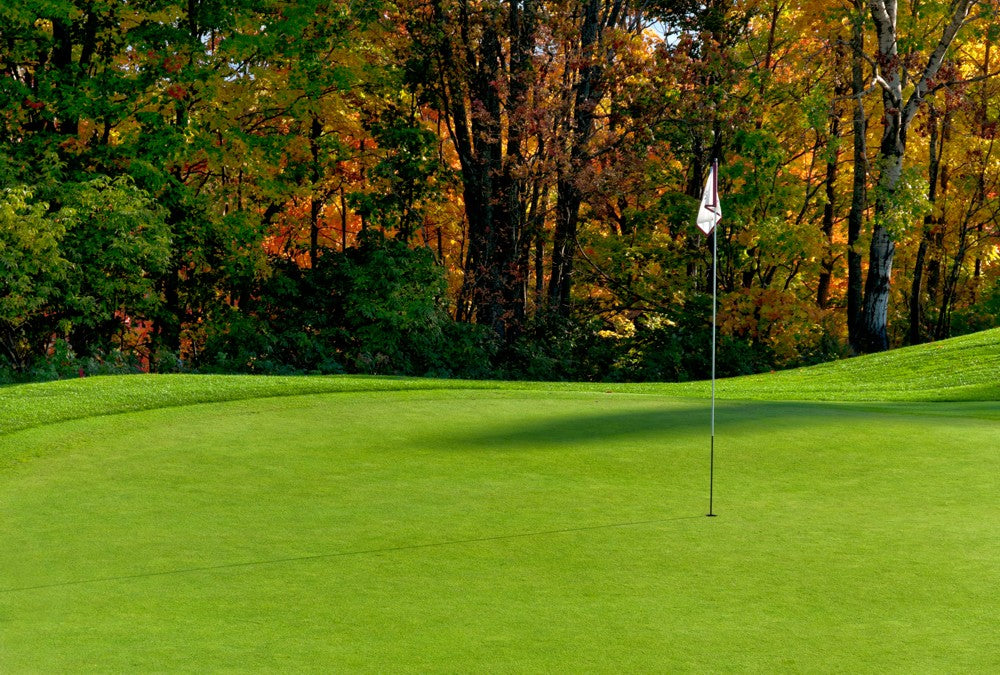 Fototapete Nr. 3453 - Golfplatz