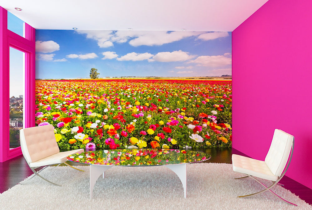 Fototapete Nr. 3454 - Ranunculus