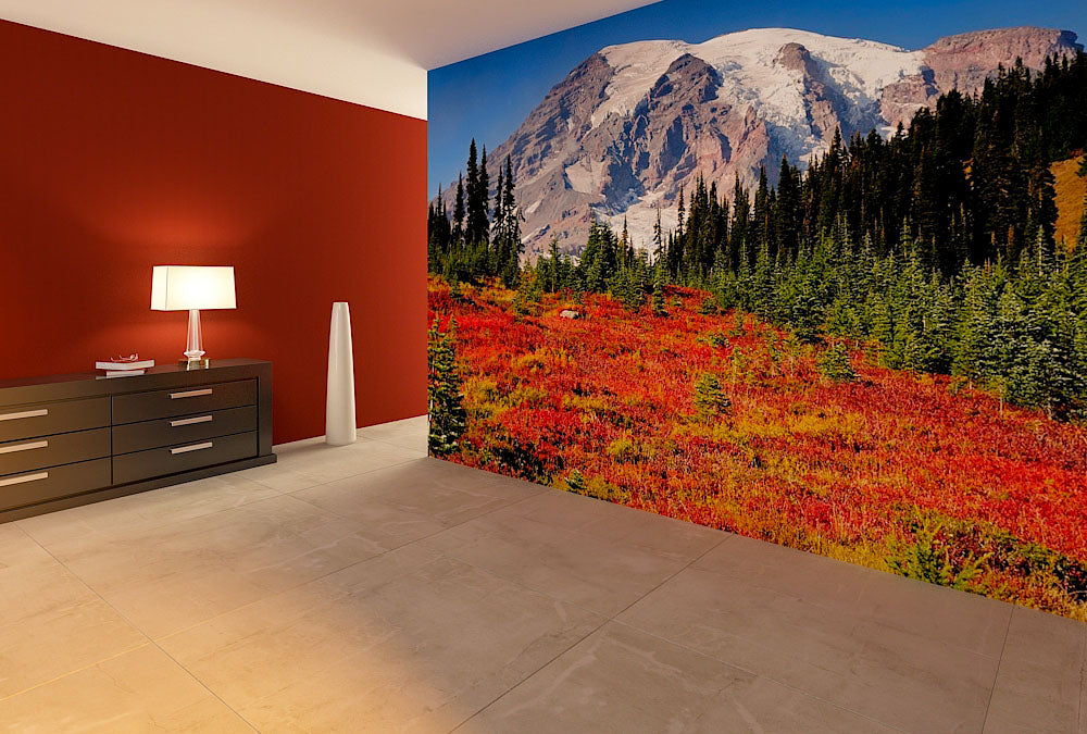 Fototapete Nr. 3541 - Mt. Rainier autumn