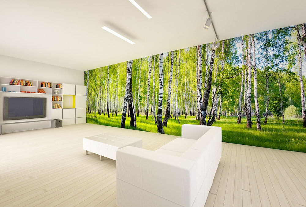 Panoramatapete Nr. 3565 - Birkenwald III