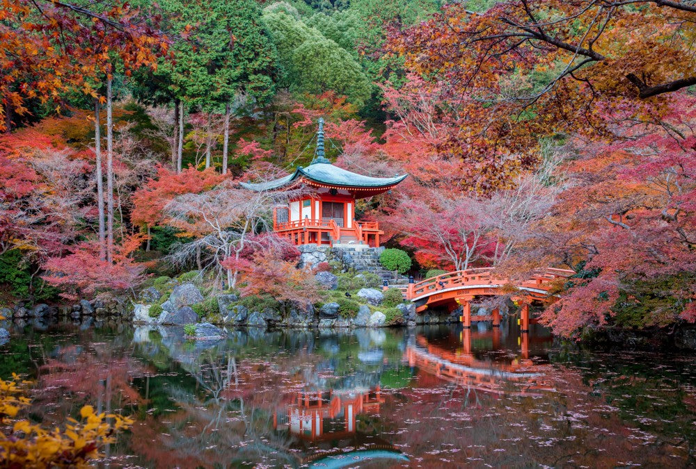 Fototapete Nr. 3620 - Kyoto garden