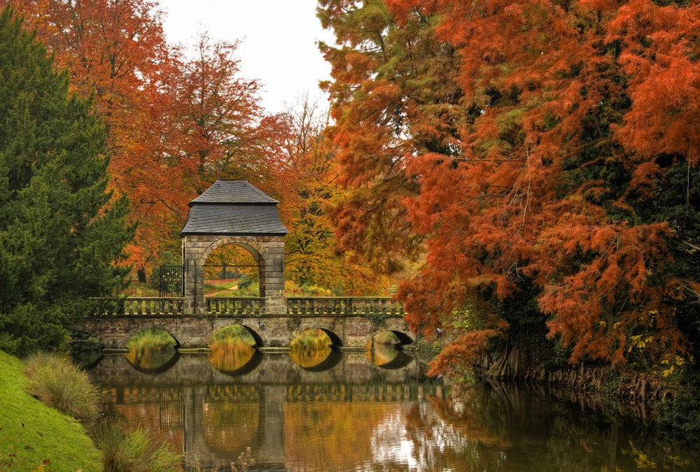 Fototapete Nr. 3623 - Autumn park
