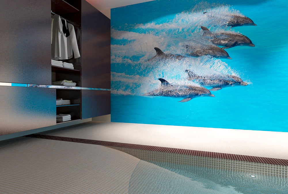 Fototapete Nr. 3642 - Happy dolphins