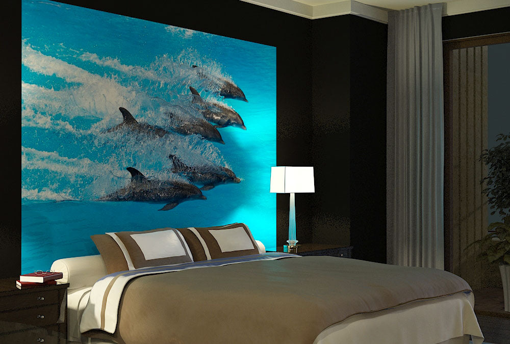 Fototapete Nr. 3642 - Happy dolphins