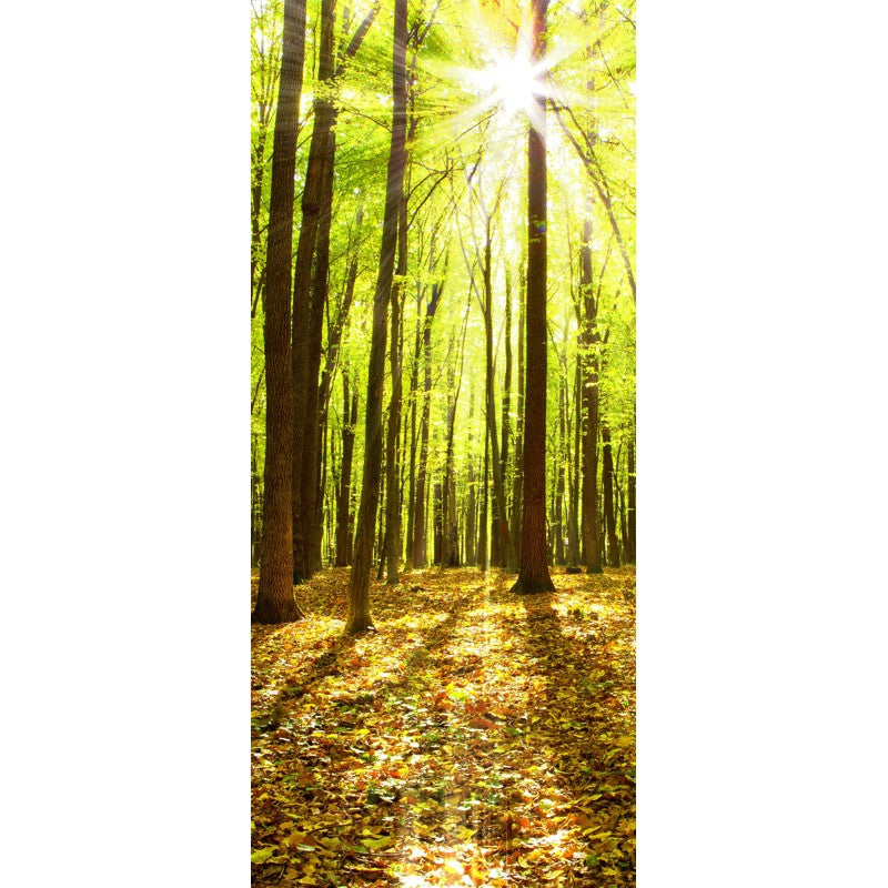 Türtapete Nr. 3679 - Sonnenwald V