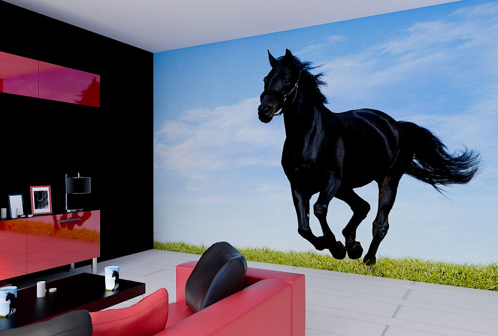 Fototapete Nr. 3694 - Black horse I
