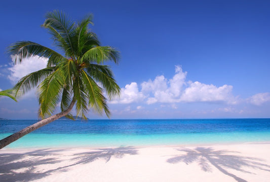 Fototapete Nr. 3791 - White beach