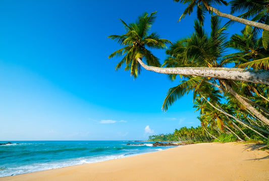 Fototapete Nr. 3793 - Coconut beach