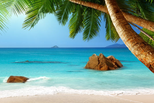 Fototapete Nr. 3795 - Anse Lazio