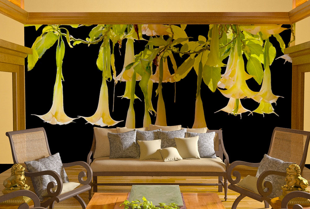 Fototapete Nr. 3805 - Angel's trumpet