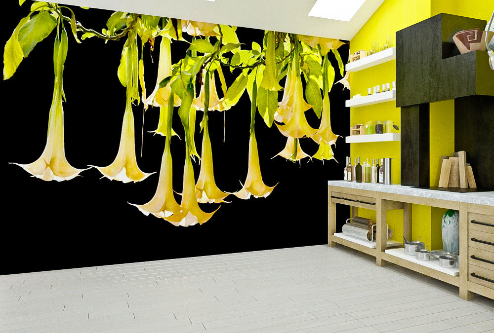 Fototapete Nr. 3805 - Angel's trumpet