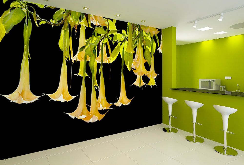 Fototapete Nr. 3805 - Angel's trumpet