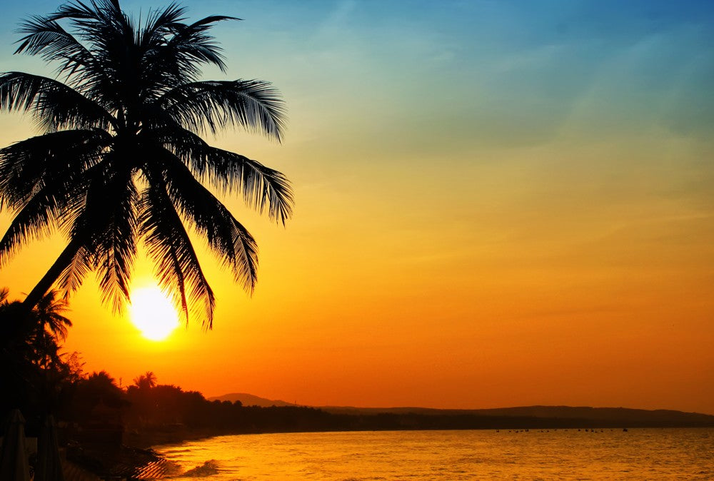 Fototapete Nr. 3855 - Palm Sunrise