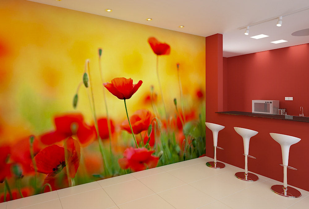 Fototapete Nr. 3864 - Poppy