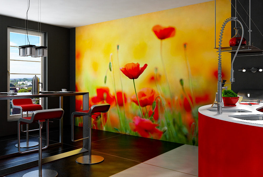 Fototapete Nr. 3864 - Poppy