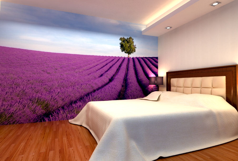 Fototapete Nr. 4290 - Lavendel