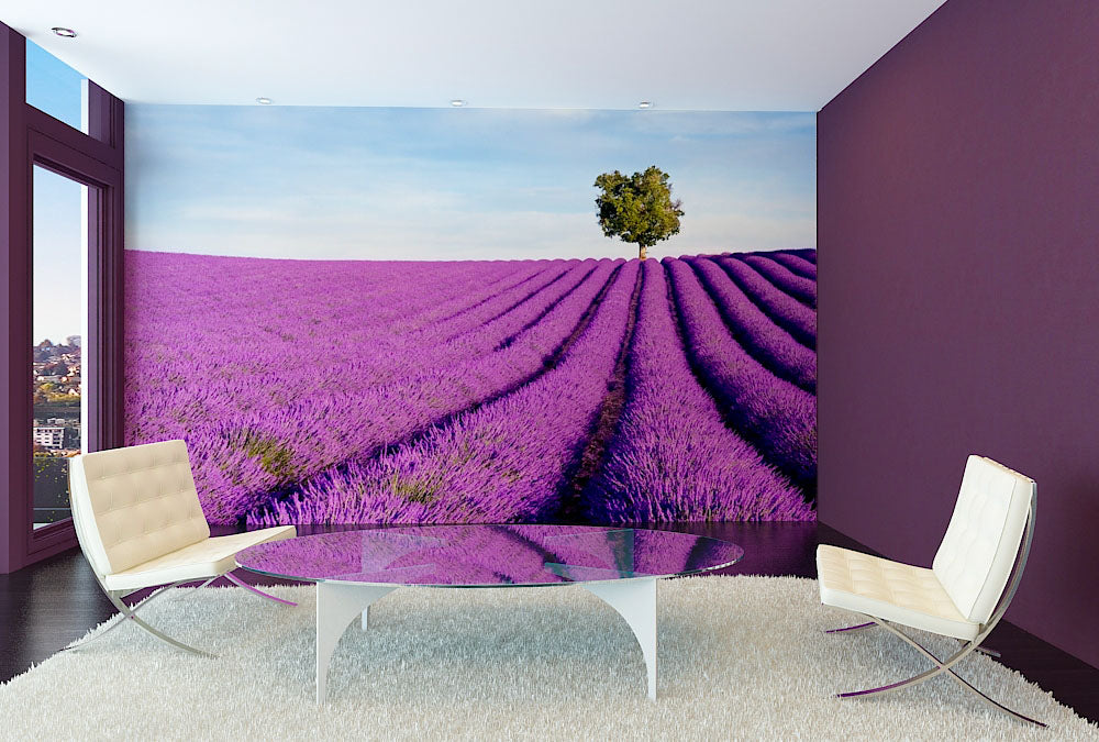 Fototapete Nr. 4290 - Lavendel