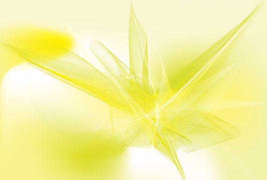 Fototapete Nr. 4374 - Soft Green