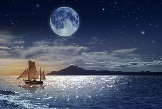 Fototapete Nr. 4433 - Moonlight Sailing