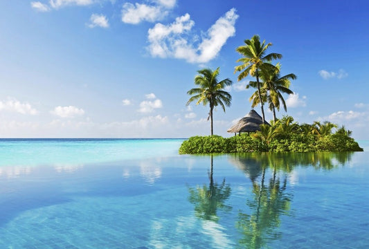 Fototapete Nr. 4435 - Tropical Paradise