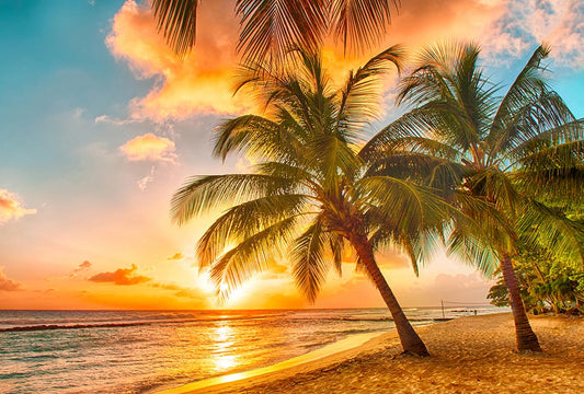 Fototapete Nr. 3022 - Abendsonne auf Hawaii