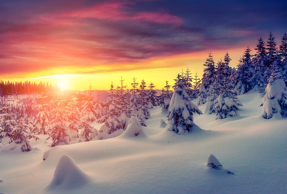 Fototapete Nr. 3025 - Winterwunderland