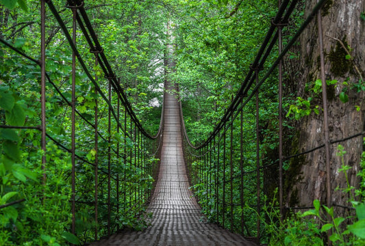 Fototapete Nr. 3174 - Hängebrücke in den Laubwald