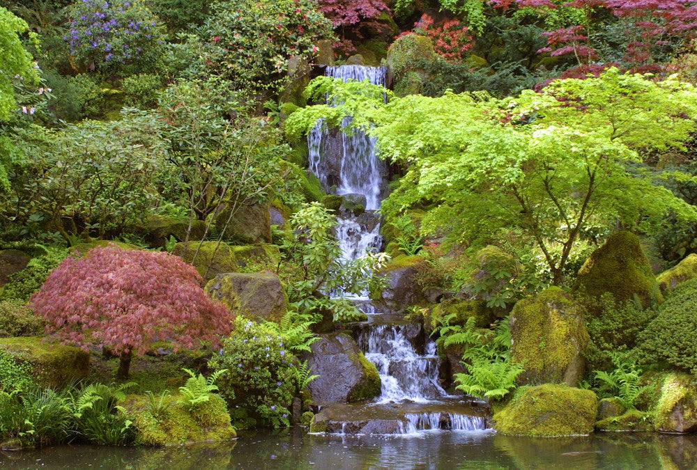 Fototapete Nr. 3203 - Japanese garden fall