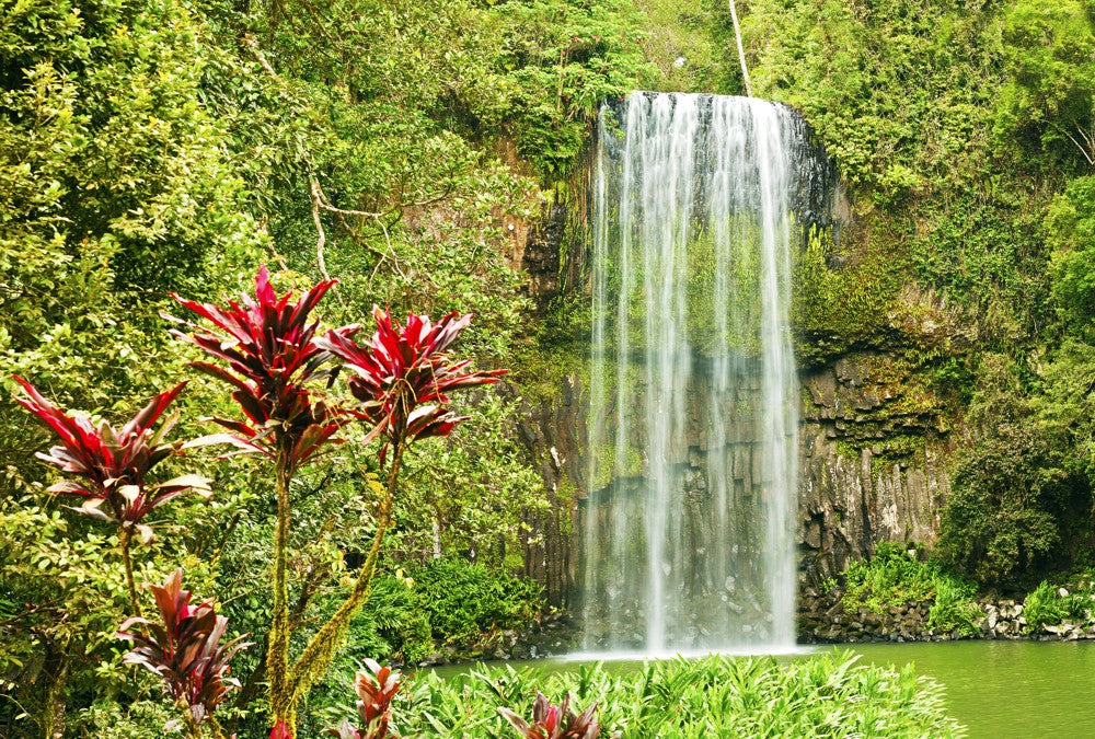 Fototapete Nr. 3207 - Millaa Millaa falls, Australien