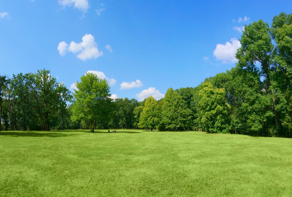 Fototapete Nr. 3569a - Green Park