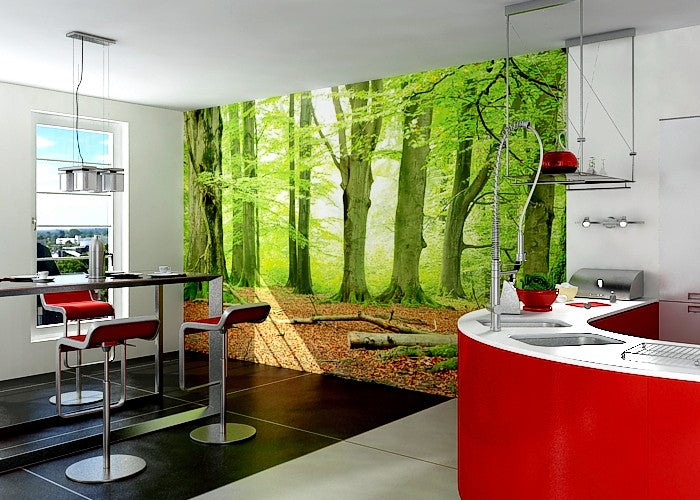 Fototapete Nr. 4549 - White Beeches